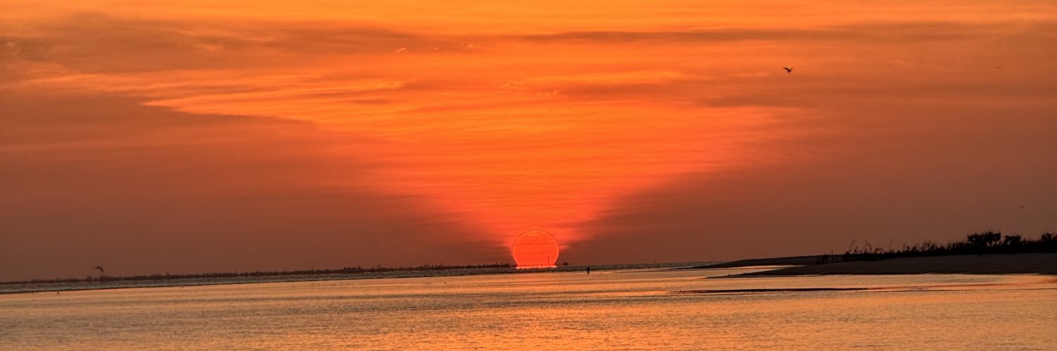 alainathomas's profile banner image
