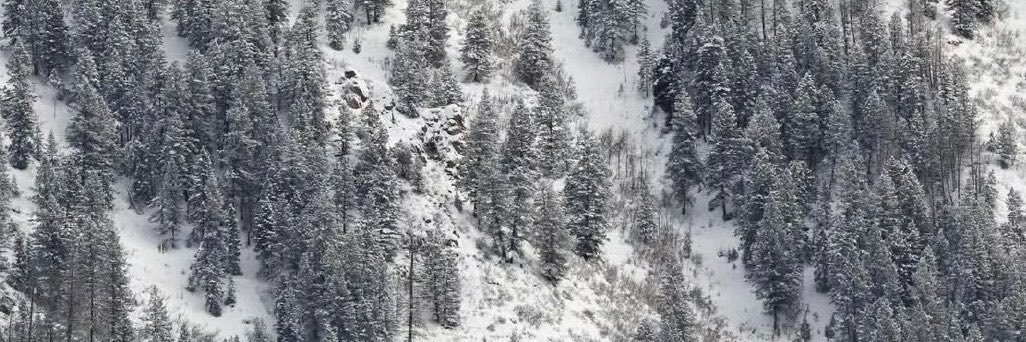 Learnrnlq's profile banner image