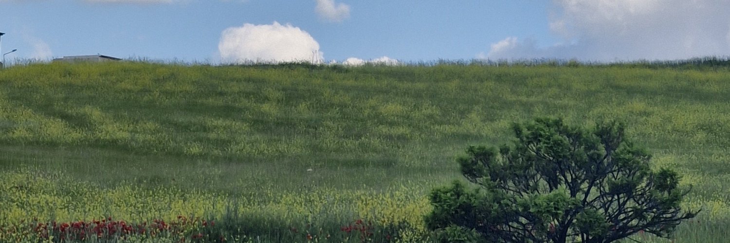 Itsm3lisa's profile banner image