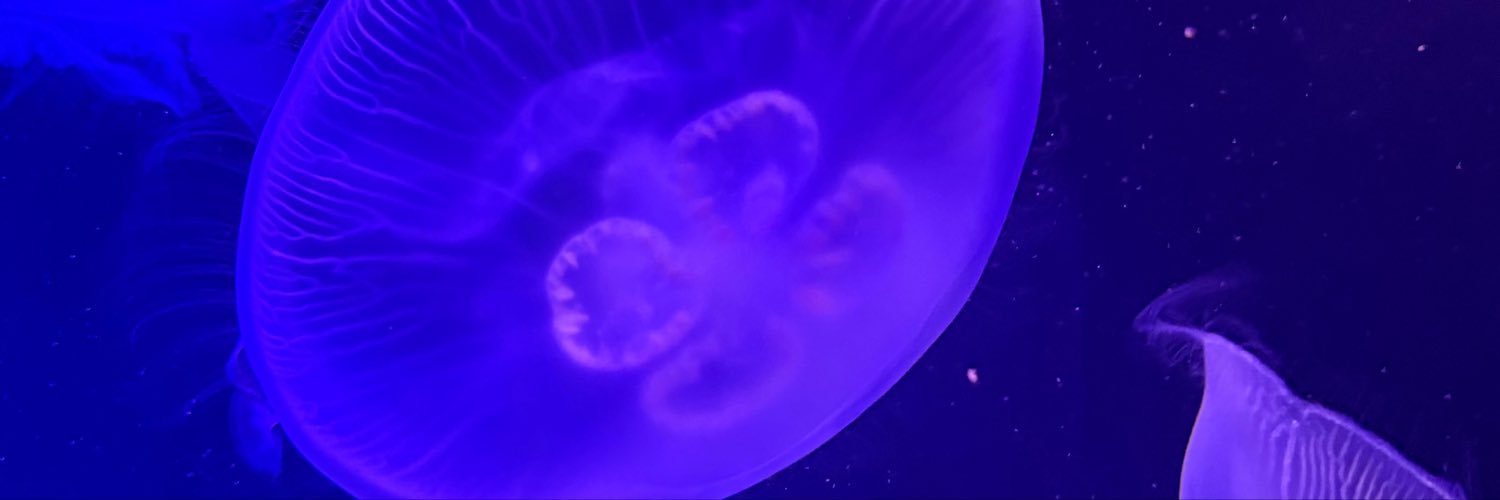 7yanng's profile banner image
