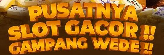 Florisanjl's profile banner image