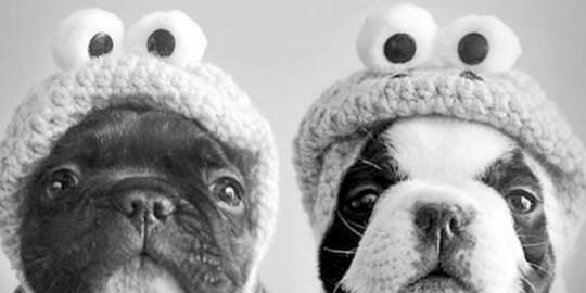 MarisabelCdO's profile banner image