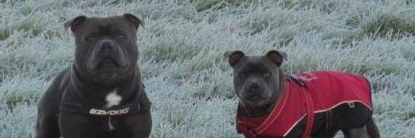 hooner66 Profile Banner