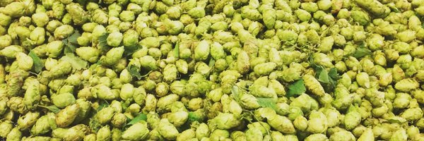 holymtnbrewing Profile Banner