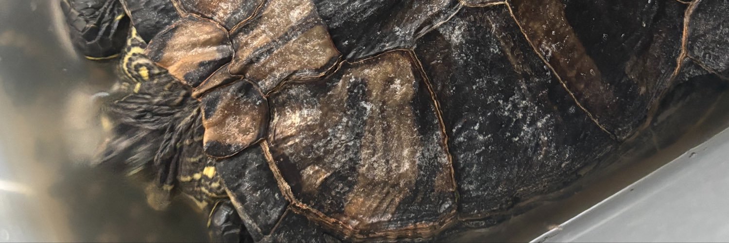 Suousqo's profile banner image