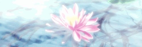 lumstarfish's profile banner image