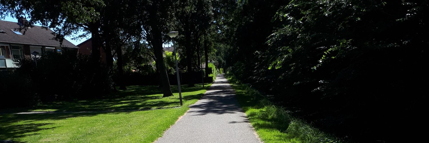 Riene Verburgh banner