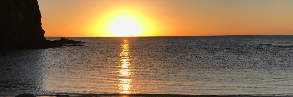 Vicente Sánchez banner