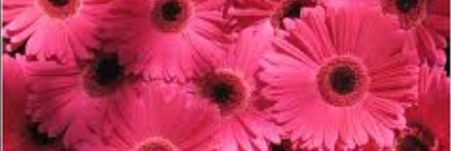 Palms_87's profile banner image