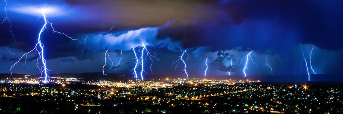 victoria royce pagett banner