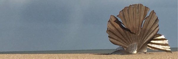 joclayden Profile Banner