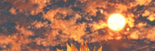 Nathur027 Profile Banner