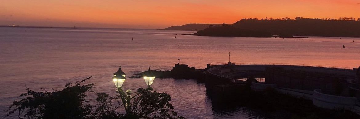 Emma Thomasson banner