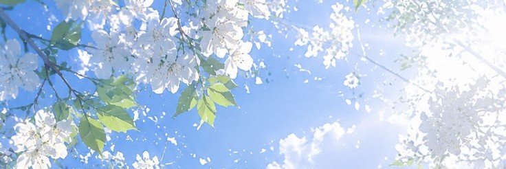 MarcusBasher94's profile banner image
