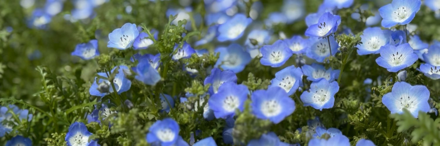 10dori283's profile banner image