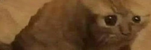 ghhumor's profile banner image