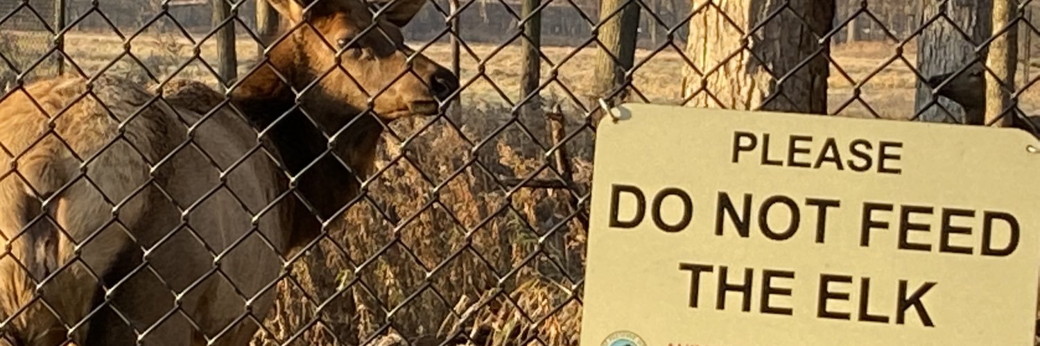 Scott Kalina, MBA banner
