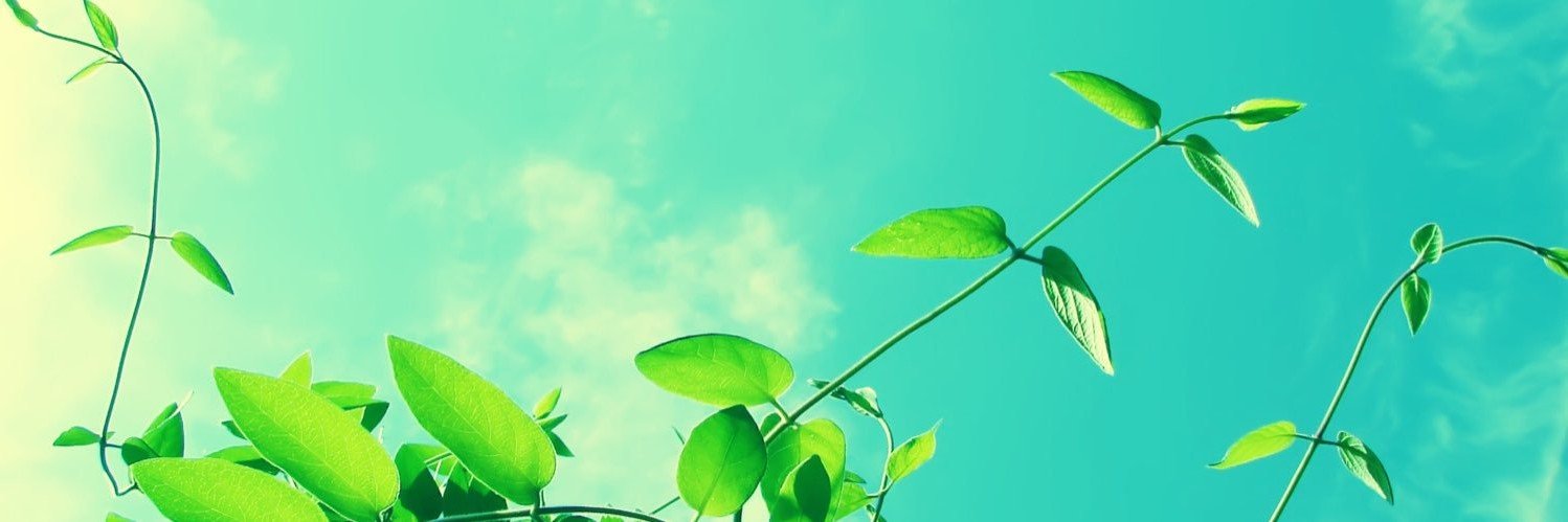 Itsdanidaylov's profile banner image