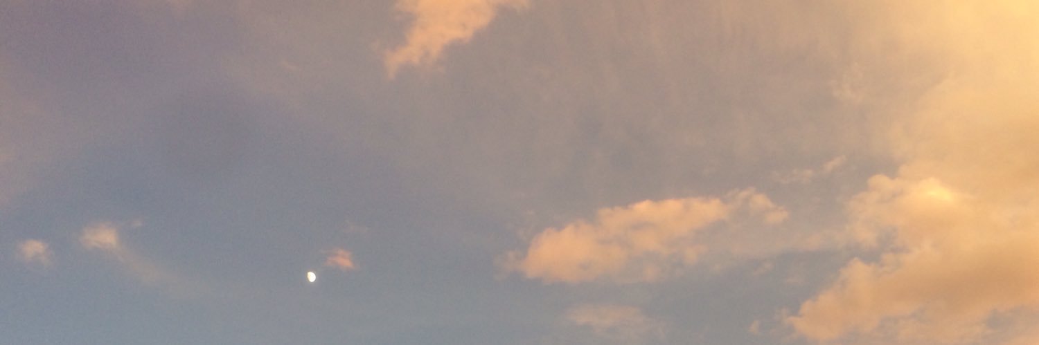 PollockhjJoe's profile banner image