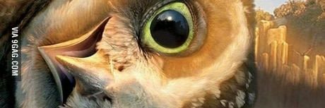 maxihigo's profile banner image