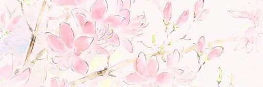 fluffy_coolest's profile banner image
