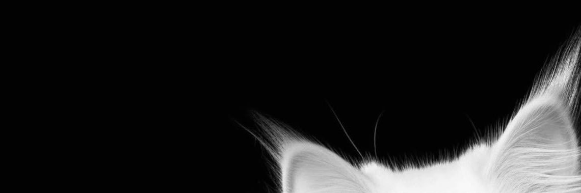 Vuioli's profile banner image