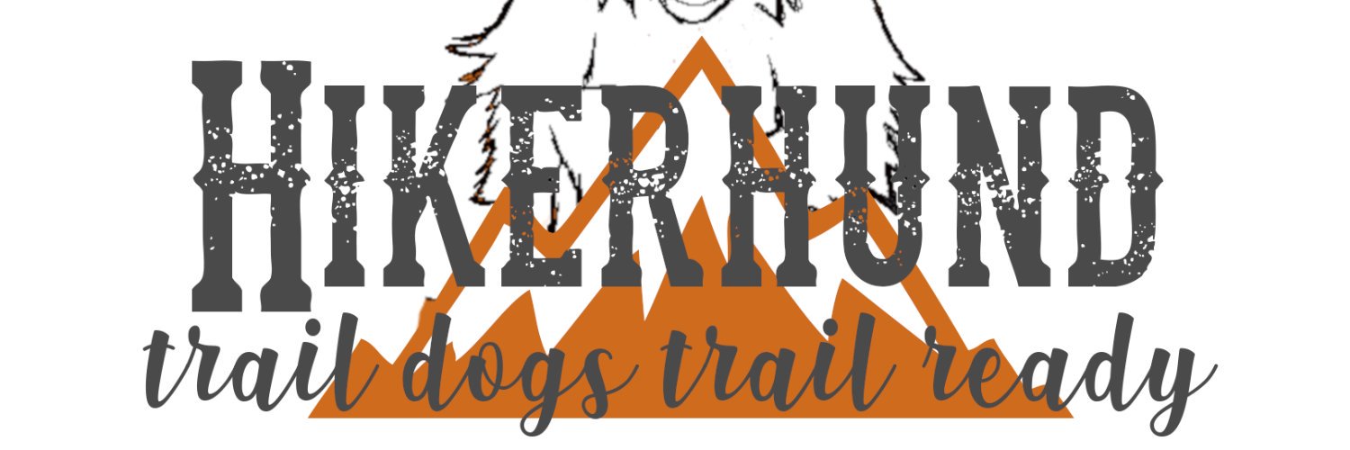 dogitmayconcern's profile banner image