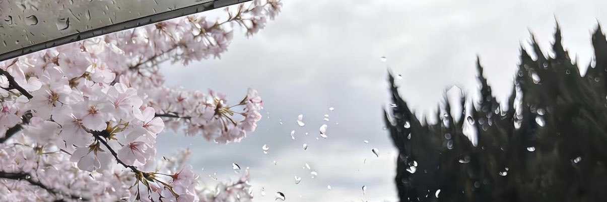 izpr05's profile banner image