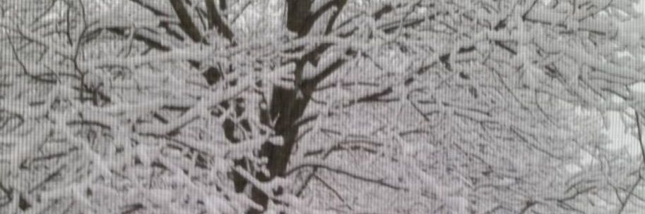 JMG241's profile banner image
