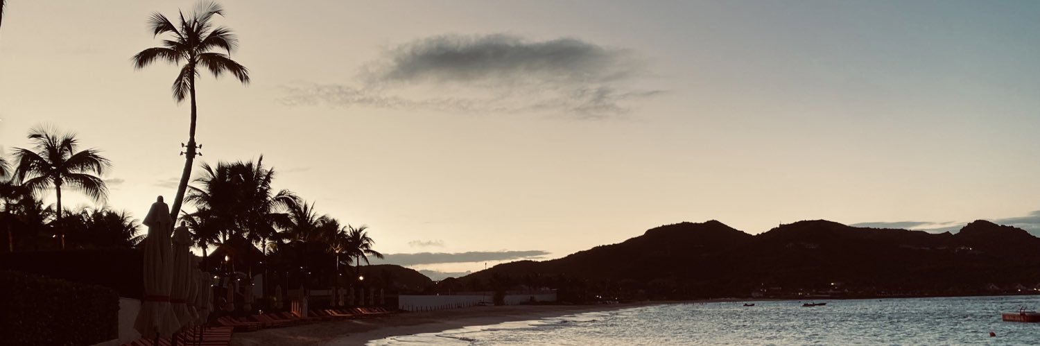 Aimée Wilder banner