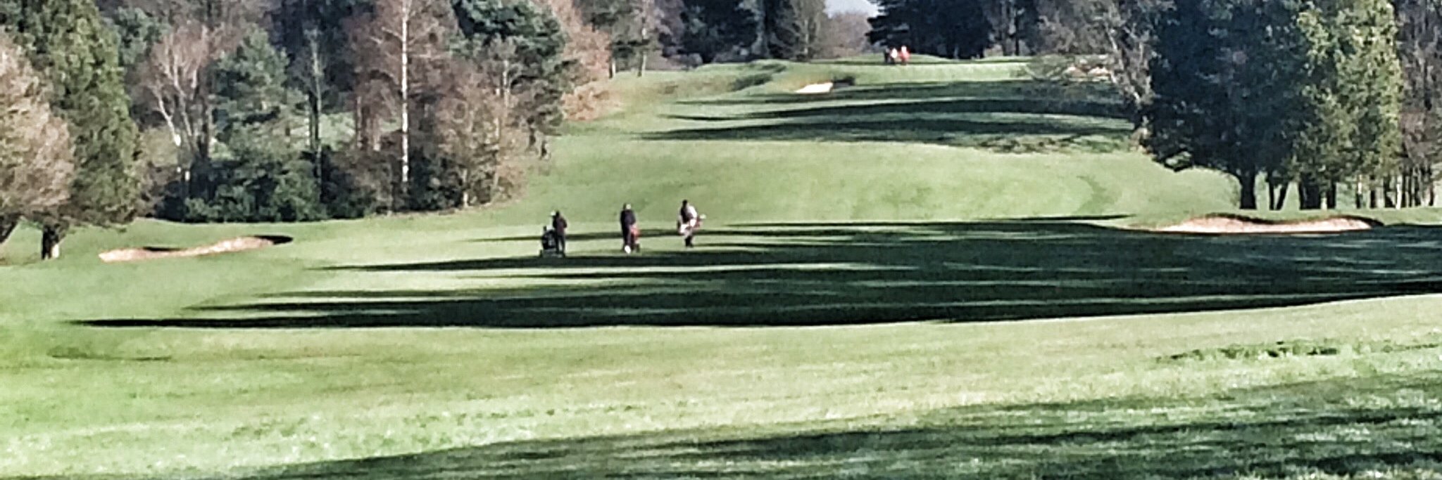 Jayne Harrison banner