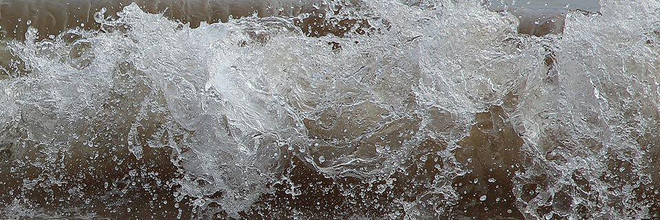 caroljallen's profile banner image