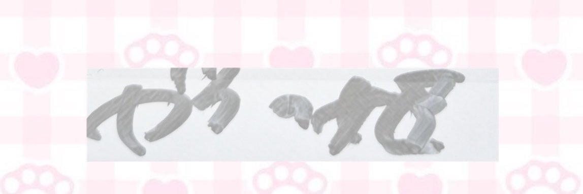 zettaizerasan's profile banner image