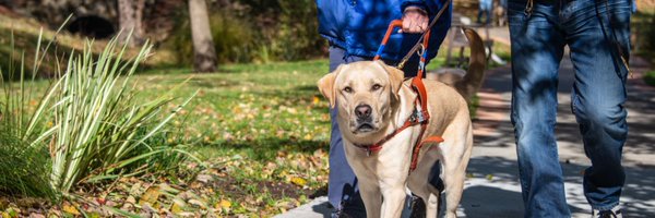 GuidingEyes Profile Banner