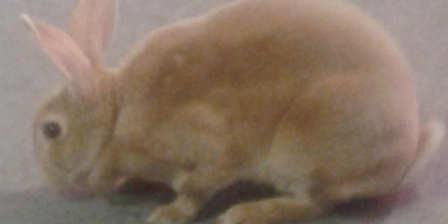 topsyt85's profile banner image