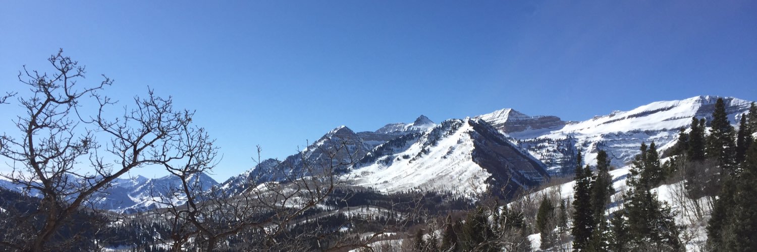 Chad Lingmann banner