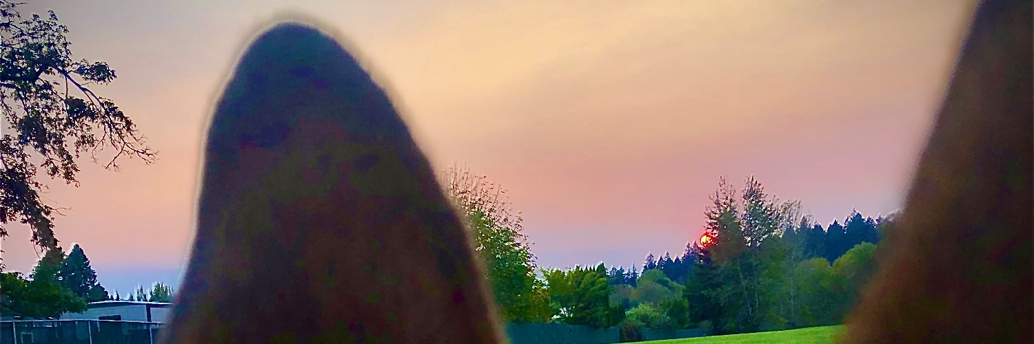 Nwblaze's profile banner image