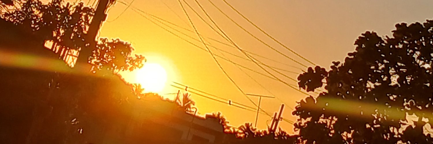 Daianelnsf's profile banner image