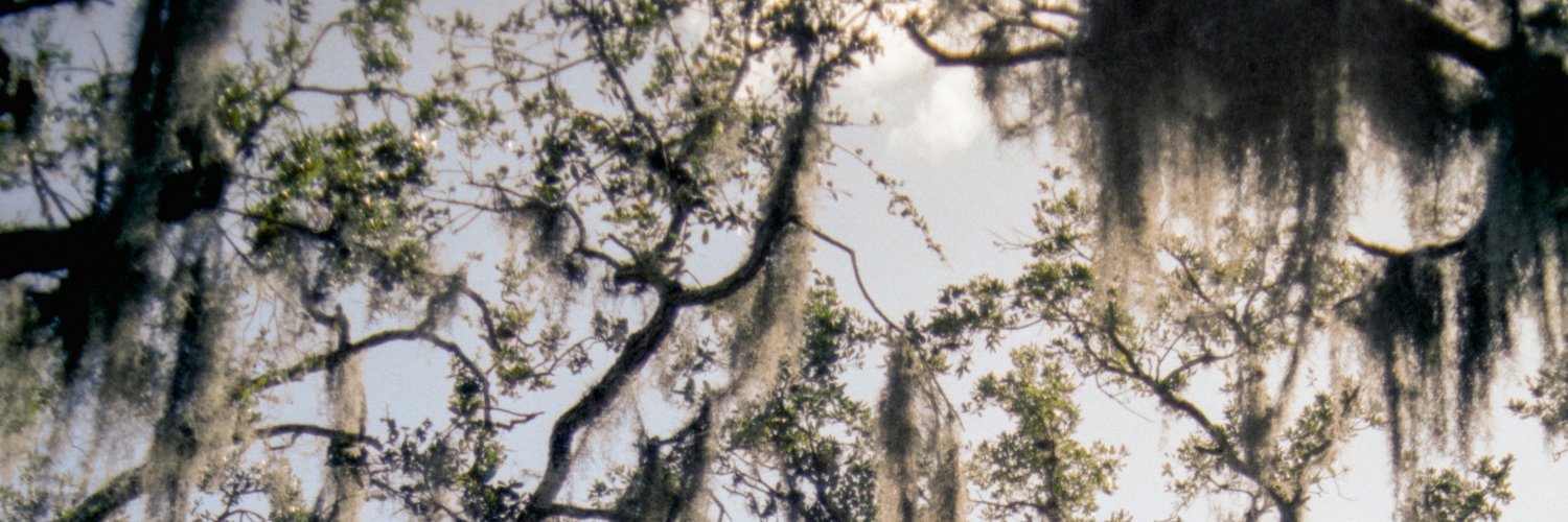 inthemorrows's profile banner image