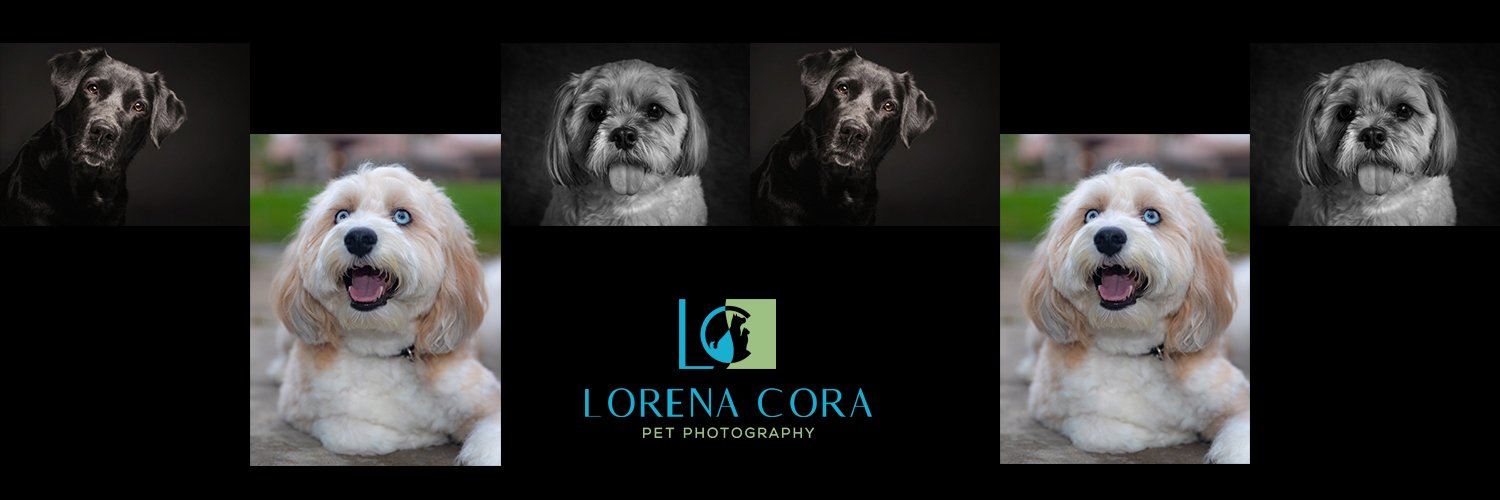 Lorena Cora banner