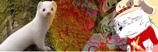 Fourleaf_StarX's profile banner image