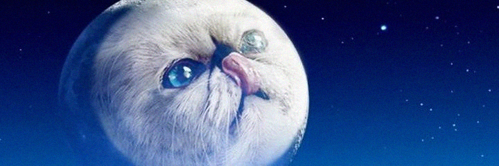 MackenzieBpc's profile banner image