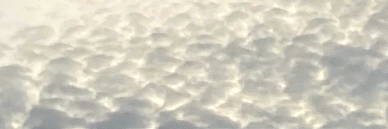 nagon_dream's profile banner image