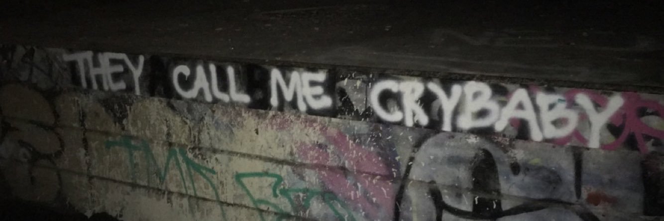 kidkelsey's profile banner image