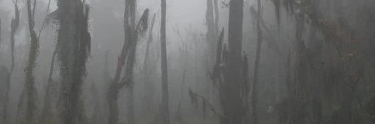 lildoll03's profile banner image