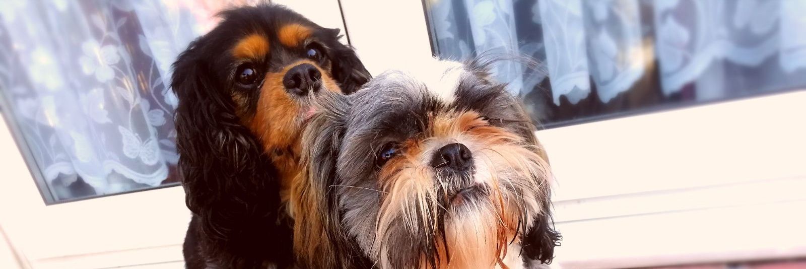 quinny42's profile banner image