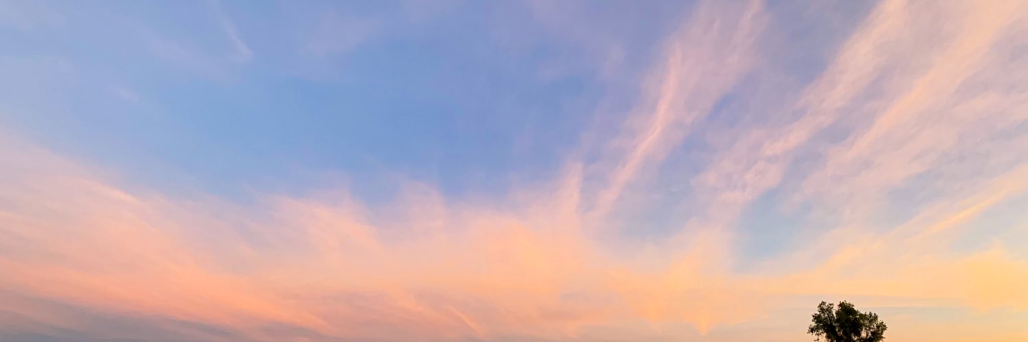 BereAlbino's profile banner image