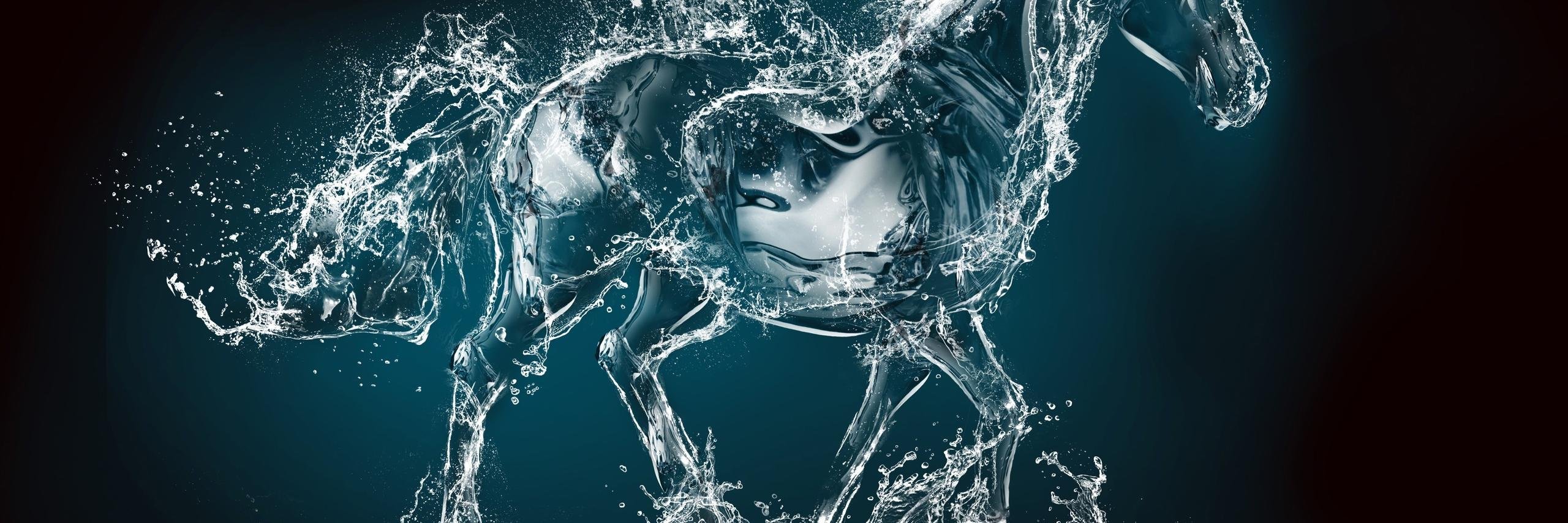 Meteb Al-Rasheed. banner