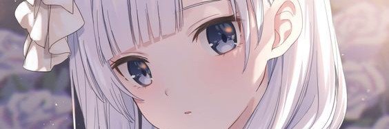 Wiarut255's profile banner image
