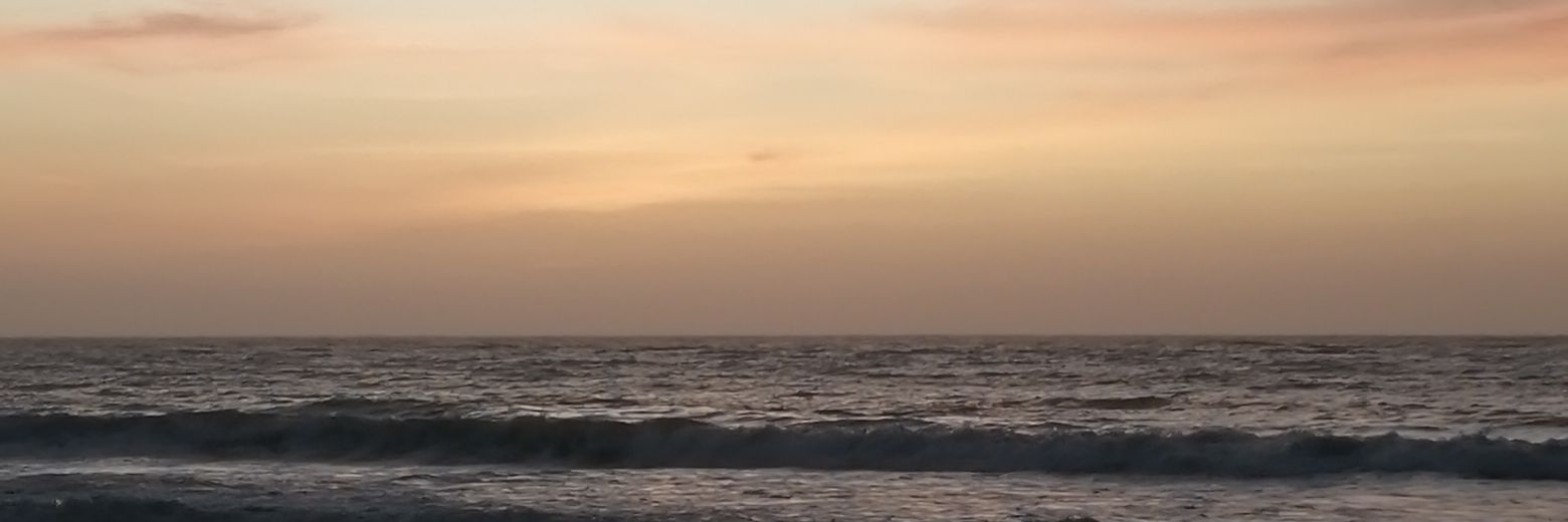 SceniicWorld's profile banner image